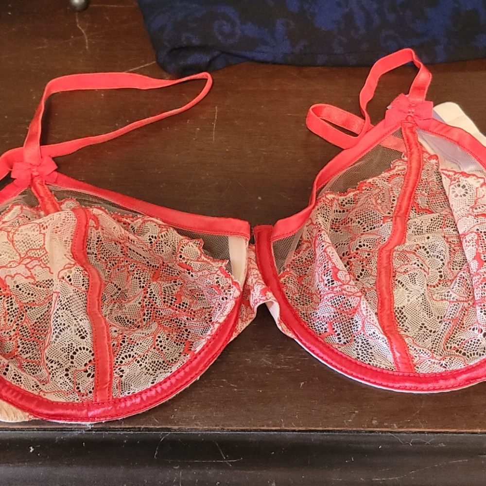 Unlined savage bra